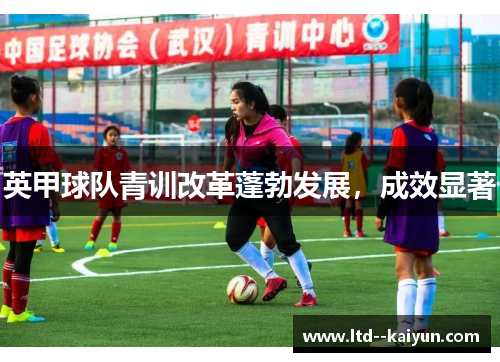 英甲球队青训改革蓬勃发展，成效显著